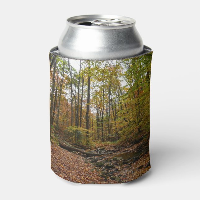 Fall Creek at Laurel Hill State Park Pennsylvania Can Cooler (Can Front)