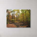 Fall Creek at Laurel Hill State Park Pennsylvania Canvas Print