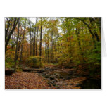 Fall Creek at Laurel Hill State Park Pennsylvania Card