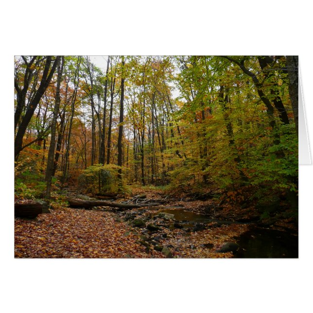 Fall Creek at Laurel Hill State Park Pennsylvania Cards (Front Horizontal)