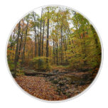 Fall Creek at Laurel Hill State Park Pennsylvania Ceramic Knob