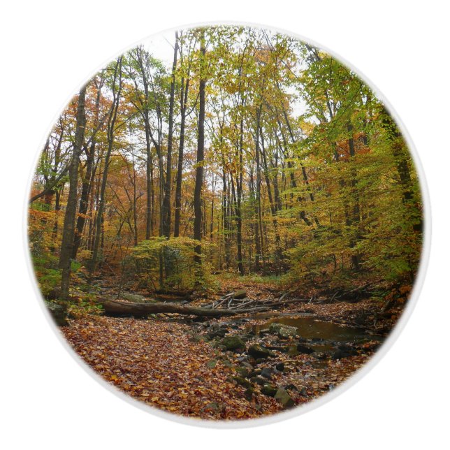 Fall Creek at Laurel Hill State Park Pennsylvania Ceramic Knob (Front)