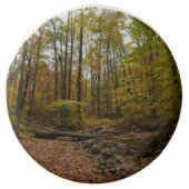 Fall Creek at Laurel Hill State Park Pennsylvania Chocolate Covered Oreo (Front)