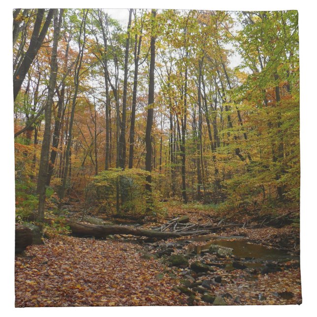 Fall Creek at Laurel Hill State Park Pennsylvania Cloth Napkin (Front)