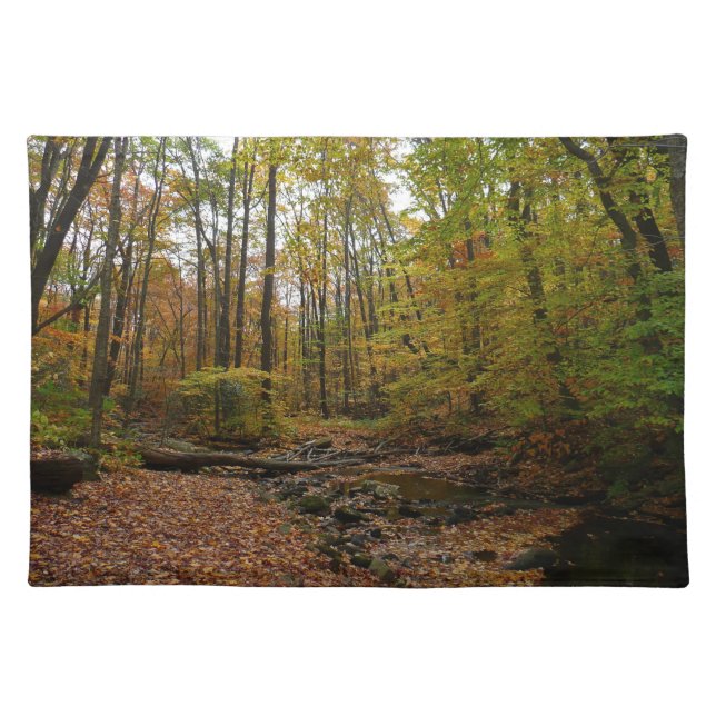 Fall Creek at Laurel Hill State Park Pennsylvania Cloth Placemat (Front)