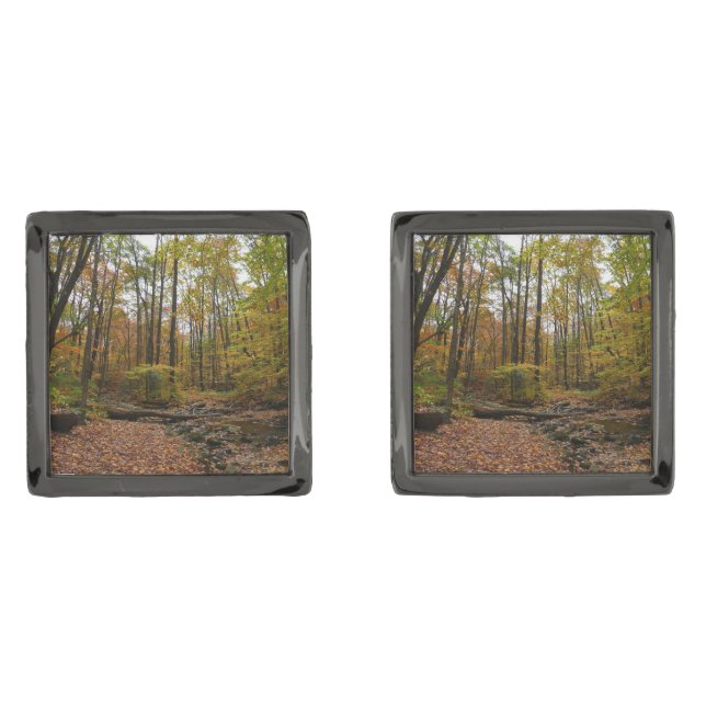 Fall Creek at Laurel Hill State Park Pennsylvania Cufflinks (Front)
