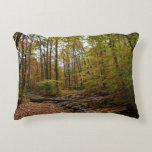 Fall Creek at Laurel Hill State Park Pennsylvania Decorative Pillow