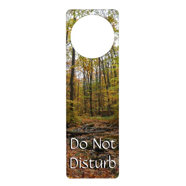 Fall Creek at Laurel Hill State Park Pennsylvania Door Hanger (Front)
