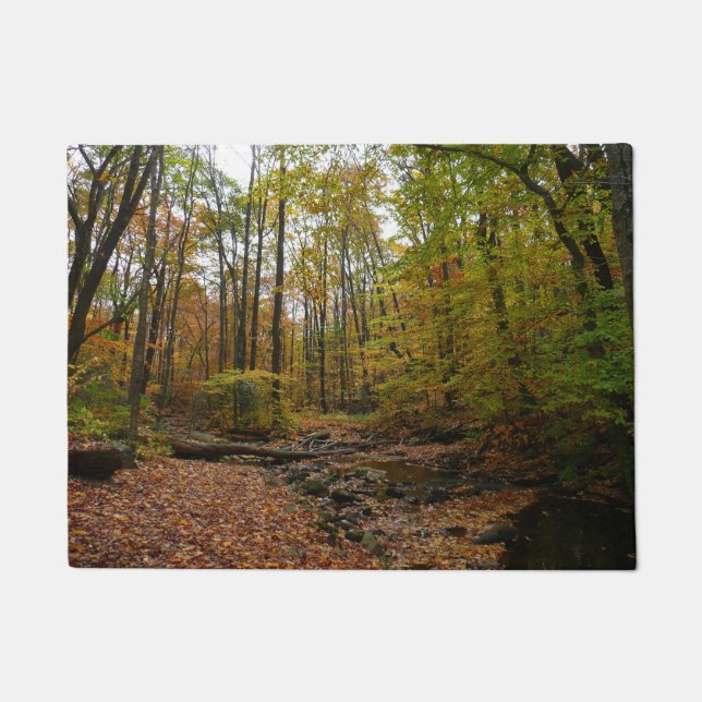 Fall Creek at Laurel Hill State Park Pennsylvania Doormat (Front)