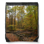 Fall Creek at Laurel Hill State Park Pennsylvania Drawstring Bag