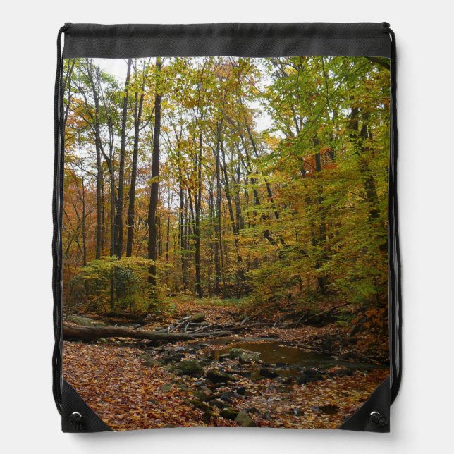 Fall Creek at Laurel Hill State Park Pennsylvania Drawstring Bag (Front)