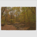 Fall Creek at Laurel Hill State Park Pennsylvania Fiber Doormat
