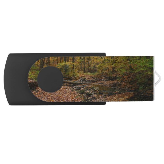 Fall Creek at Laurel Hill State Park Pennsylvania Flash Drive (Front)