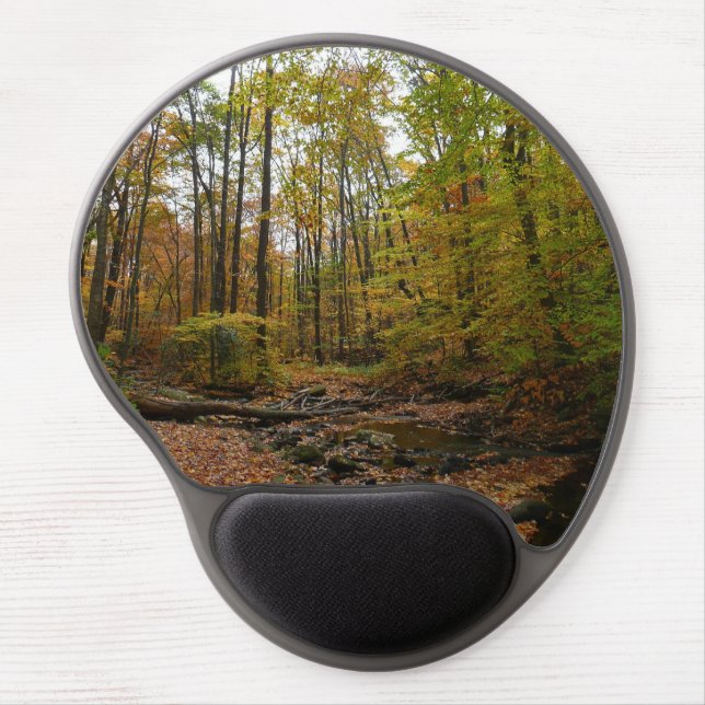 Fall Creek at Laurel Hill State Park Pennsylvania Gel Mouse Pad (Front)