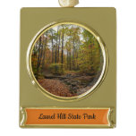 Fall Creek at Laurel Hill State Park Pennsylvania Gold Plated Banner Ornament