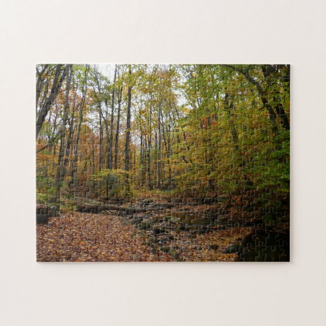 Fall Creek at Laurel Hill State Park Pennsylvania Jigsaw Puzzle (Horizontal)