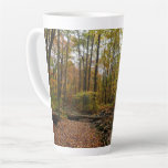 Fall Creek at Laurel Hill State Park Pennsylvania Latte Mug