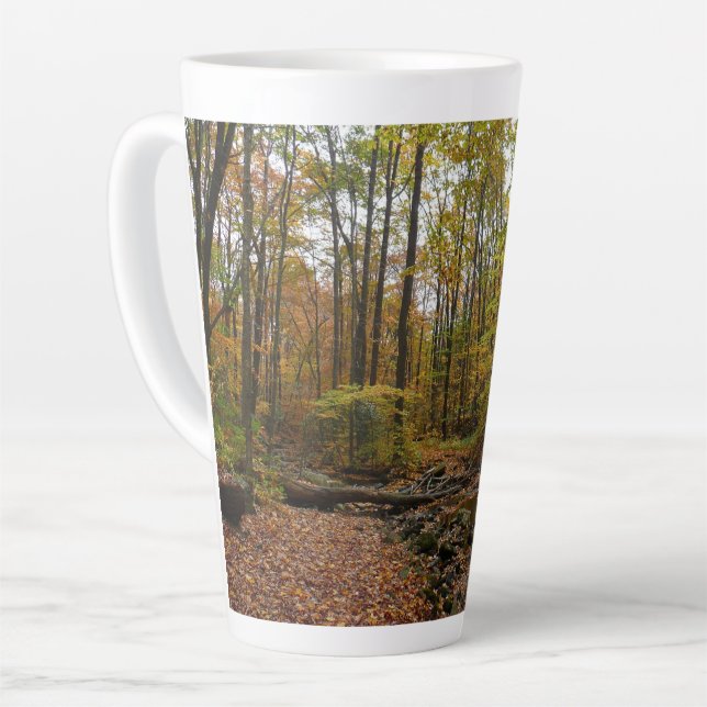 Fall Creek at Laurel Hill State Park Pennsylvania Latte Mug (Left Angle)