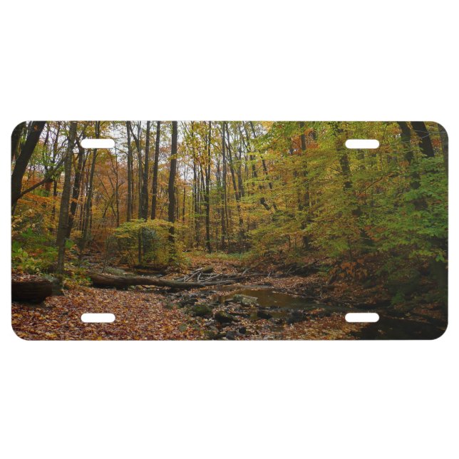 Fall Creek at Laurel Hill State Park Pennsylvania License Plate (Front)