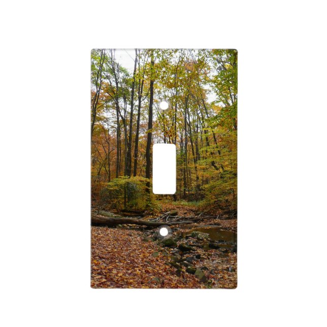Fall Creek at Laurel Hill State Park Pennsylvania Light Switch Cover (Front)
