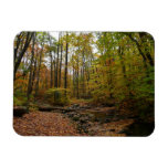 Fall Creek at Laurel Hill State Park Pennsylvania Magnet