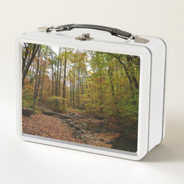 Fall Creek at Laurel Hill State Park Pennsylvania Metal Lunch Box (Front)