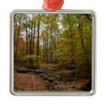 Fall Creek at Laurel Hill State Park Pennsylvania Metal Ornament