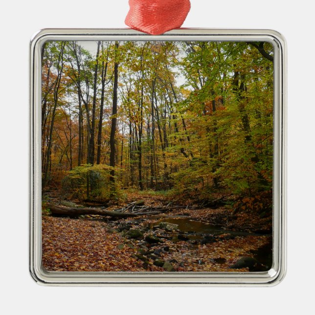 Fall Creek at Laurel Hill State Park Pennsylvania Metal Ornament (Front)