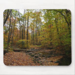 Fall Creek at Laurel Hill State Park Pennsylvania Mouse Pad