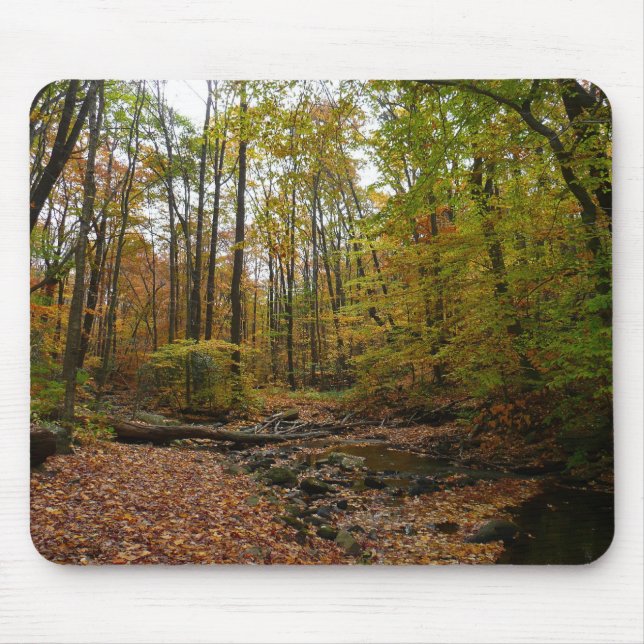 Fall Creek at Laurel Hill State Park Pennsylvania Mouse Pad (Front)
