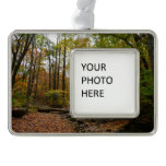 Fall Creek at Laurel Hill State Park Pennsylvania Ornament