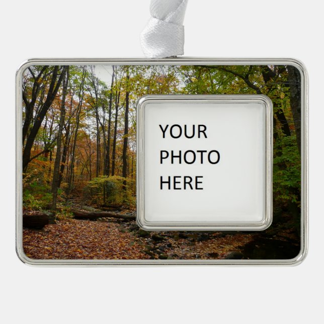 Fall Creek at Laurel Hill State Park Pennsylvania Ornament (Front)