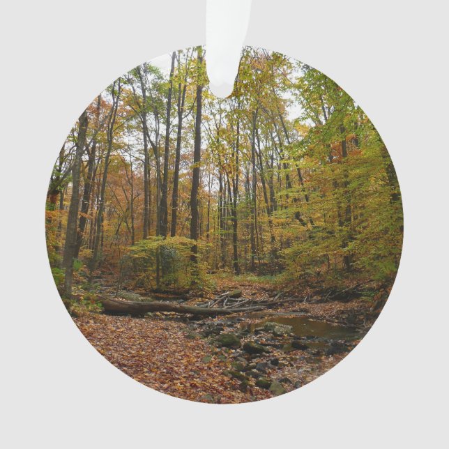 Fall Creek at Laurel Hill State Park Pennsylvania Ornament (Front)