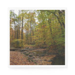 Fall Creek at Laurel Hill State Park Pennsylvania Paper Napkins