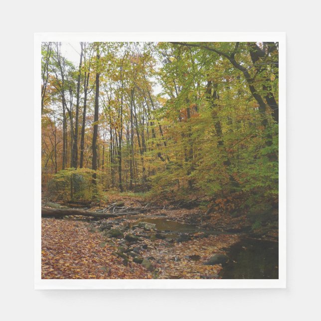 Fall Creek at Laurel Hill State Park Pennsylvania Paper Napkins (Front)