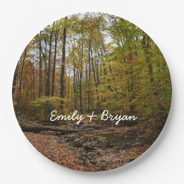 Fall Creek at Laurel Hill State Park Pennsylvania Paper Plates (Front)