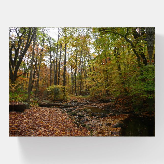 Fall Creek at Laurel Hill State Park Pennsylvania Paperweight (Front)
