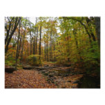 Fall Creek at Laurel Hill State Park Pennsylvania Photo Print