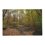 Fall Creek at Laurel Hill State Park Pennsylvania Placemat