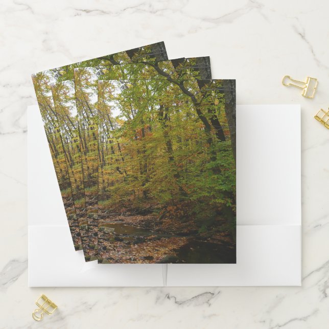 Fall Creek at Laurel Hill State Park Pennsylvania Pocket Folder (In Situ)