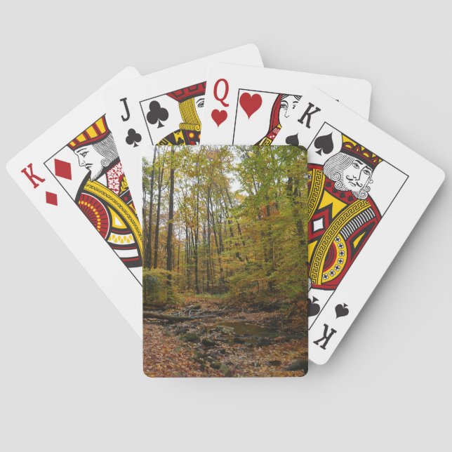 Fall Creek at Laurel Hill State Park Pennsylvania Poker Cards (Back)