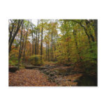 Fall Creek at Laurel Hill State Park Pennsylvania Postcard