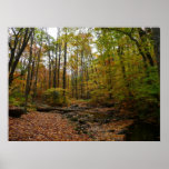 Fall Creek at Laurel Hill State Park Pennsylvania Poster