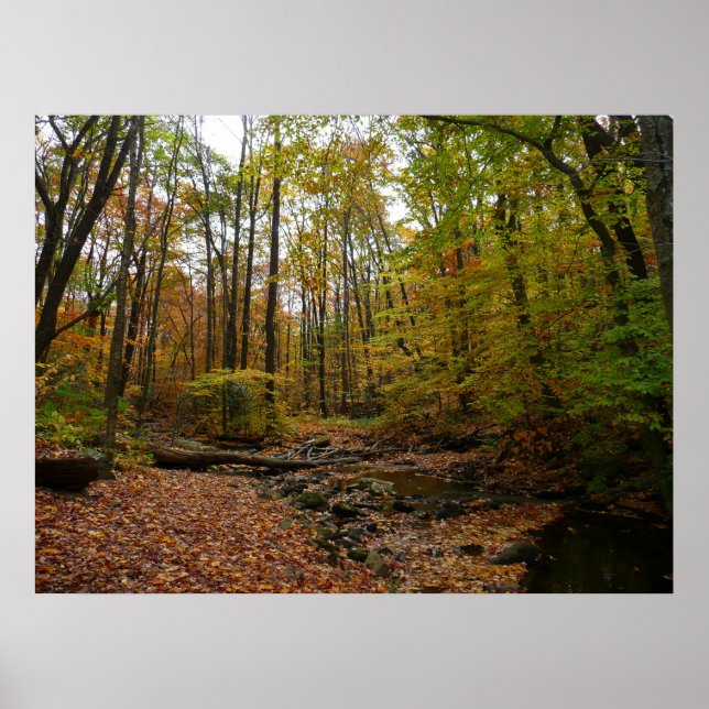 Fall Creek at Laurel Hill State Park Pennsylvania Poster (Front)