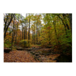 Fall Creek at Laurel Hill State Park Pennsylvania Poster