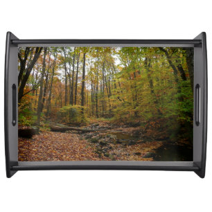 Fall Creek at Laurel Hill State Park Pennsylvania Serving Tray