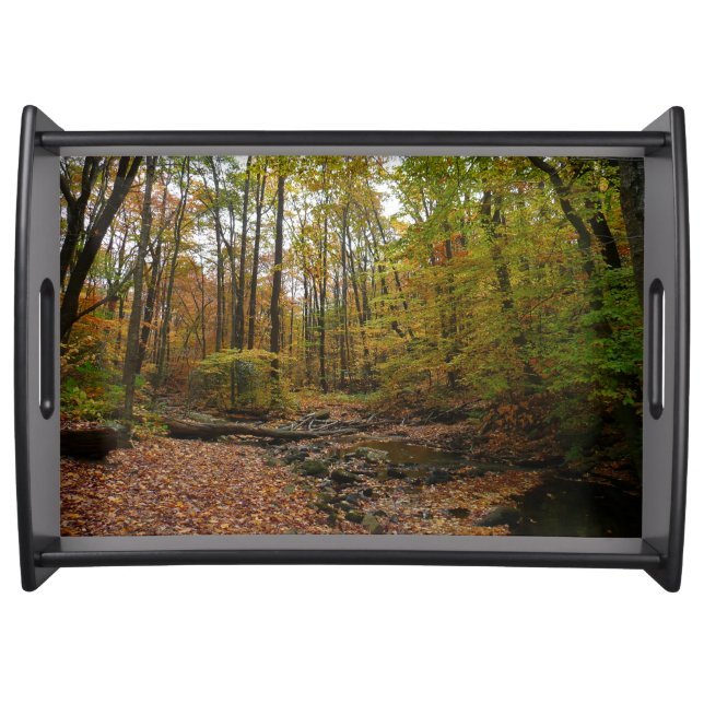 Fall Creek at Laurel Hill State Park Pennsylvania Serving Tray (Front)