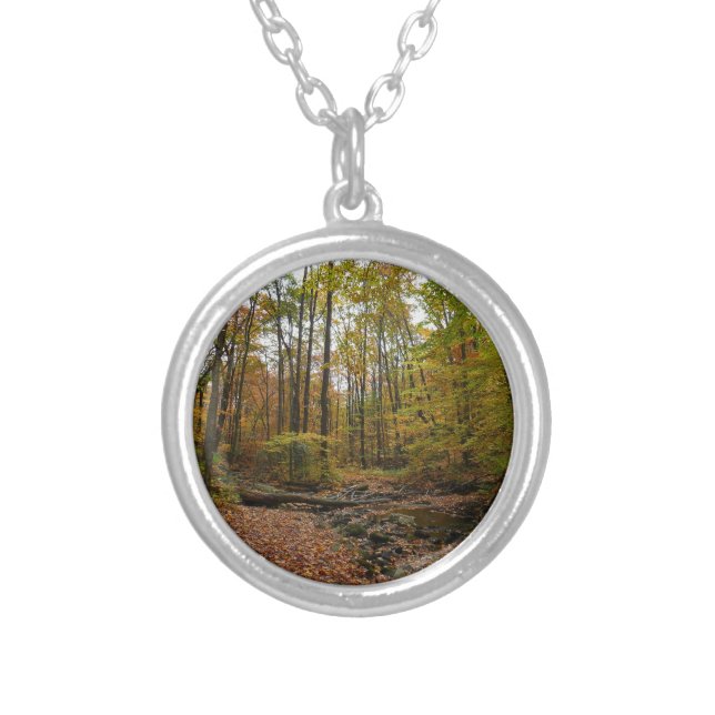 Fall Creek at Laurel Hill State Park Pennsylvania Silver Plated Necklace (Front)