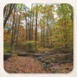 Fall Creek at Laurel Hill State Park Pennsylvania Square Paper Coaster