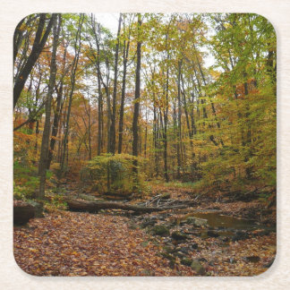 Fall Creek at Laurel Hill State Park Pennsylvania Square Paper Coaster